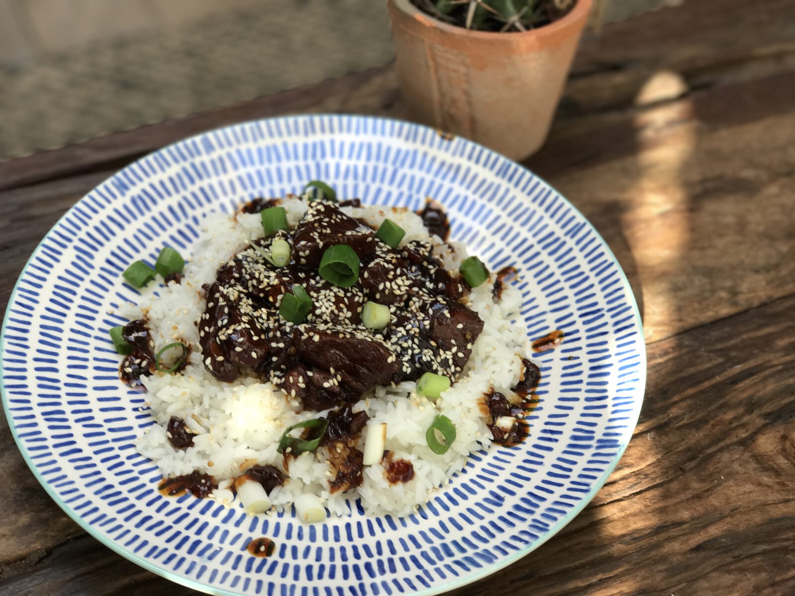 Babi Ketjap: niet de standaard babi ketjap!