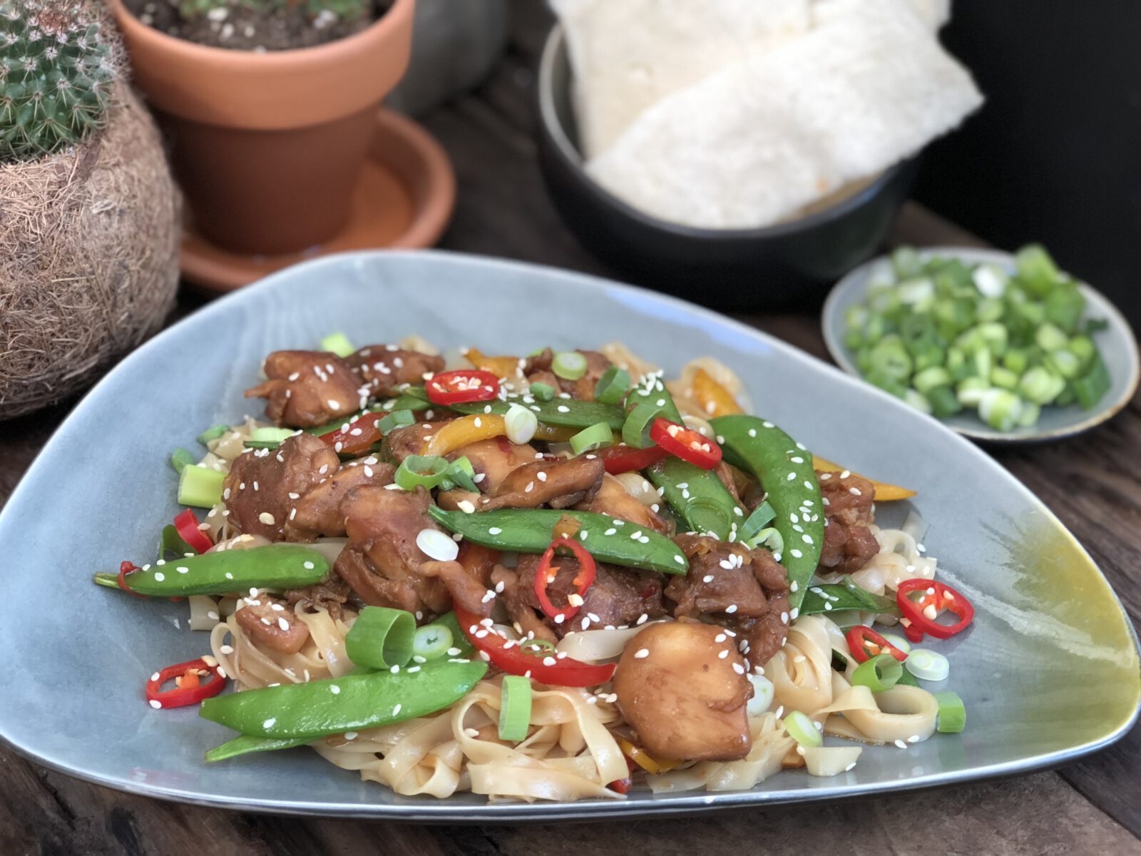 kip ketjap met paprika en sugar snaps
