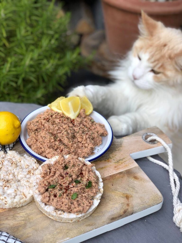 tonijnsalade met Italiaanse kruiden op een rijstwafel