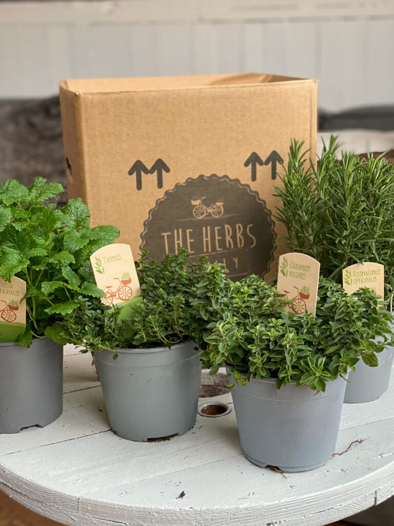 kruiden online bestellen bij The Herbs Family