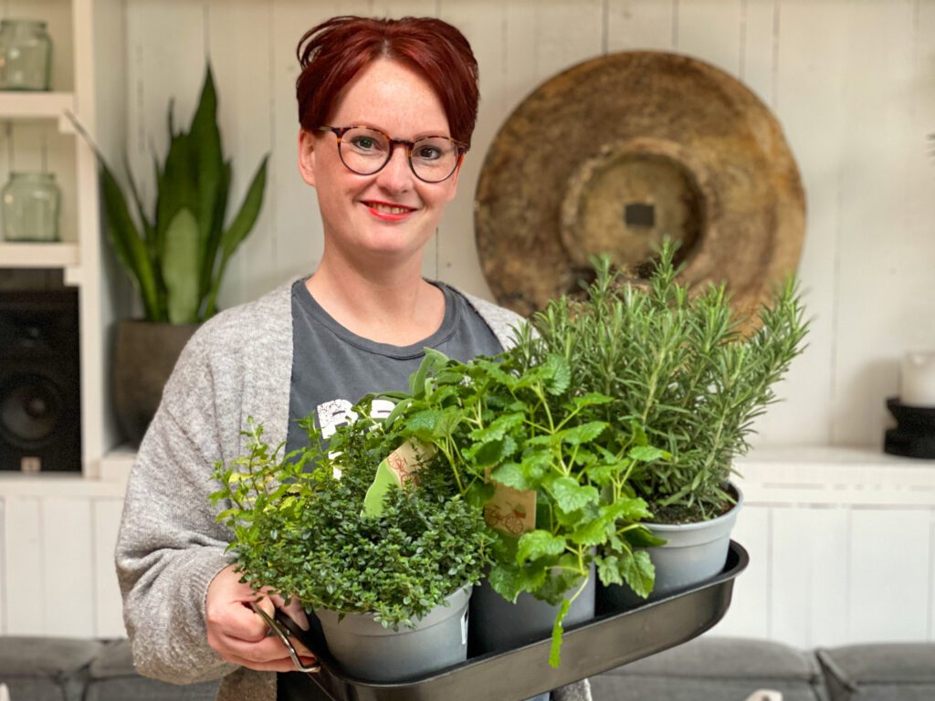 kipfilet met rozemarijn en knoflook