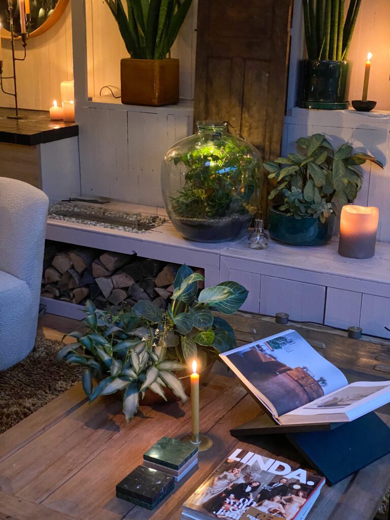 verschilllende kleuren diner kaarsen