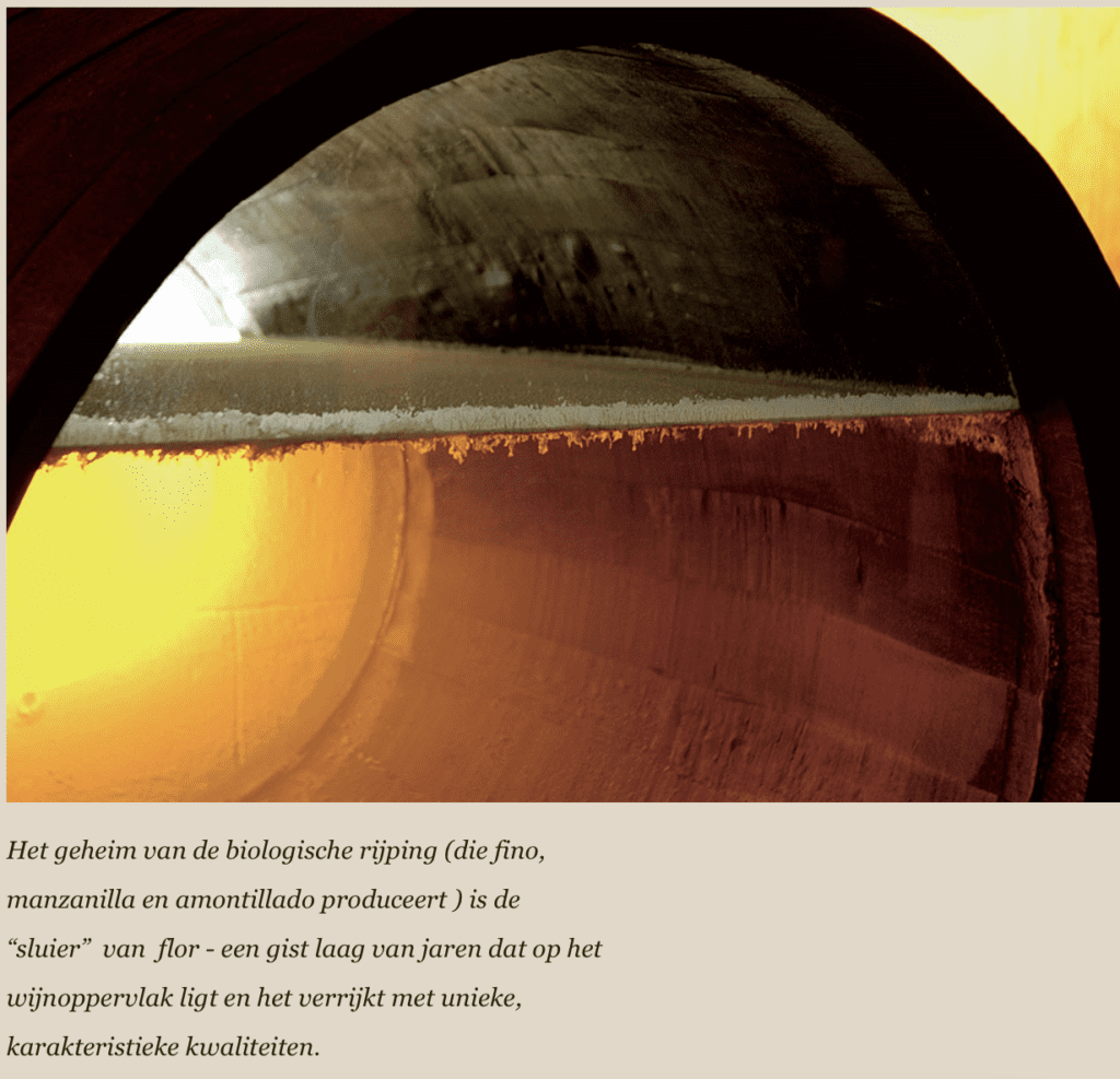 Dit is de gist laag op sherry flor genoemd