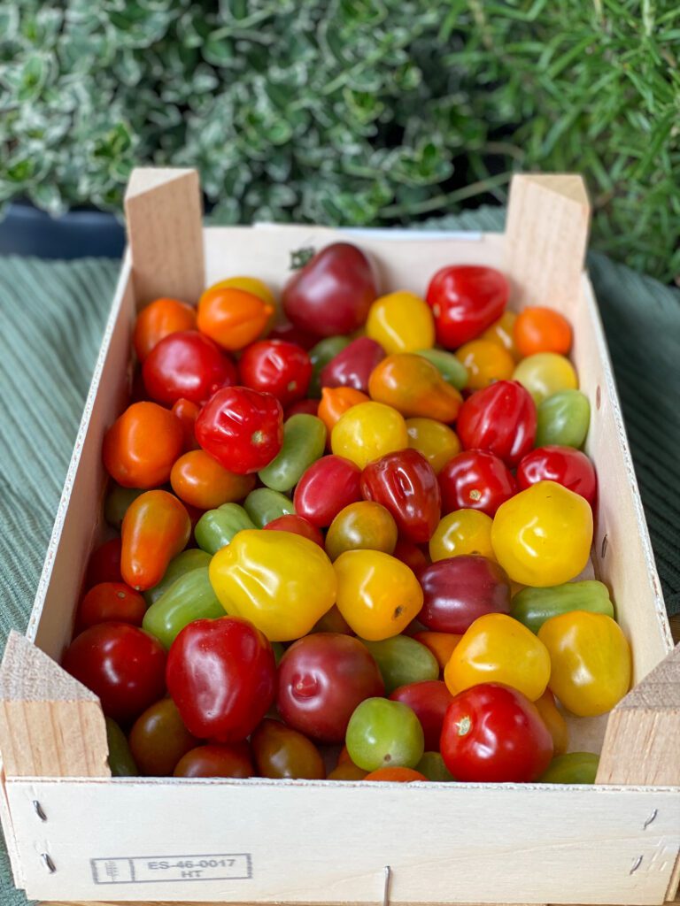 verschillende tomaten 