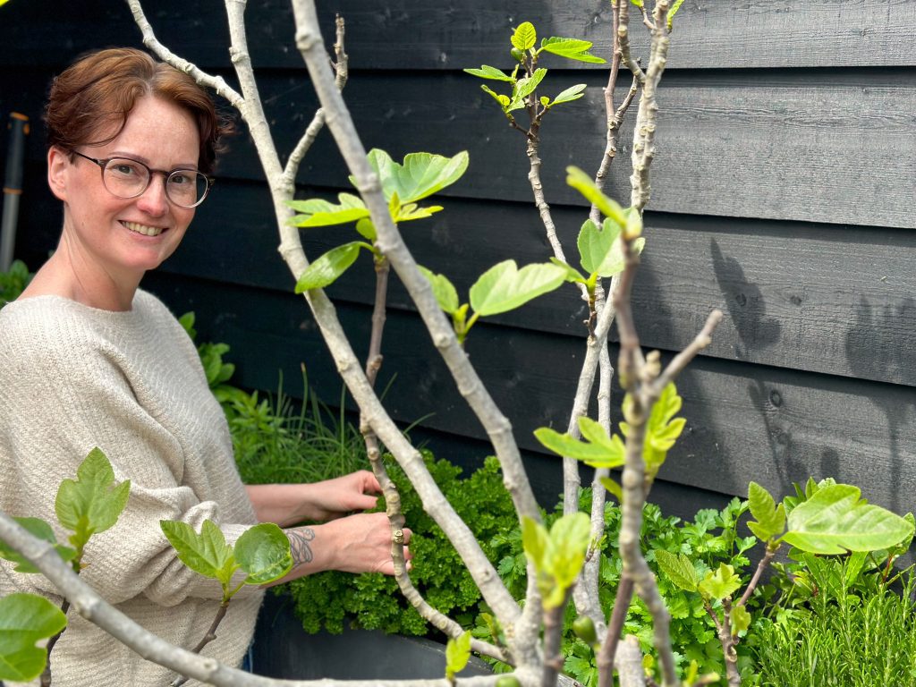 koken met verse kruiden
