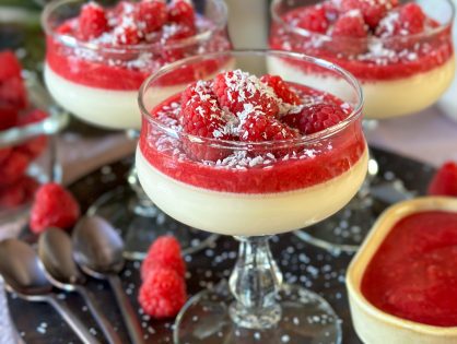 lactose vrije panna cotta