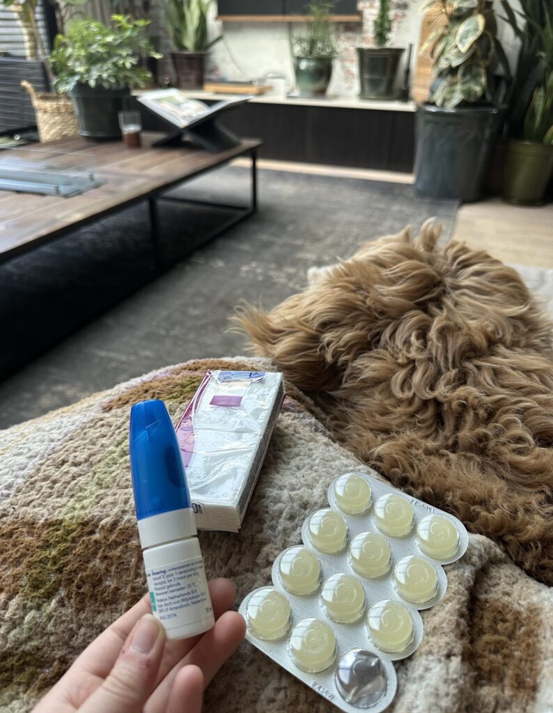 Thuis bij Familie over de Kook - week 7