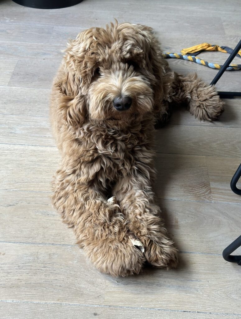 Thuis bij Familie over de Kook - week 7