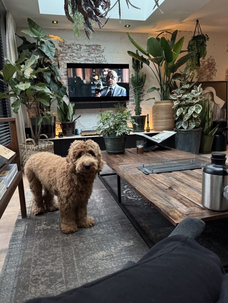 Thuis bij Familie over de Kook - week 6