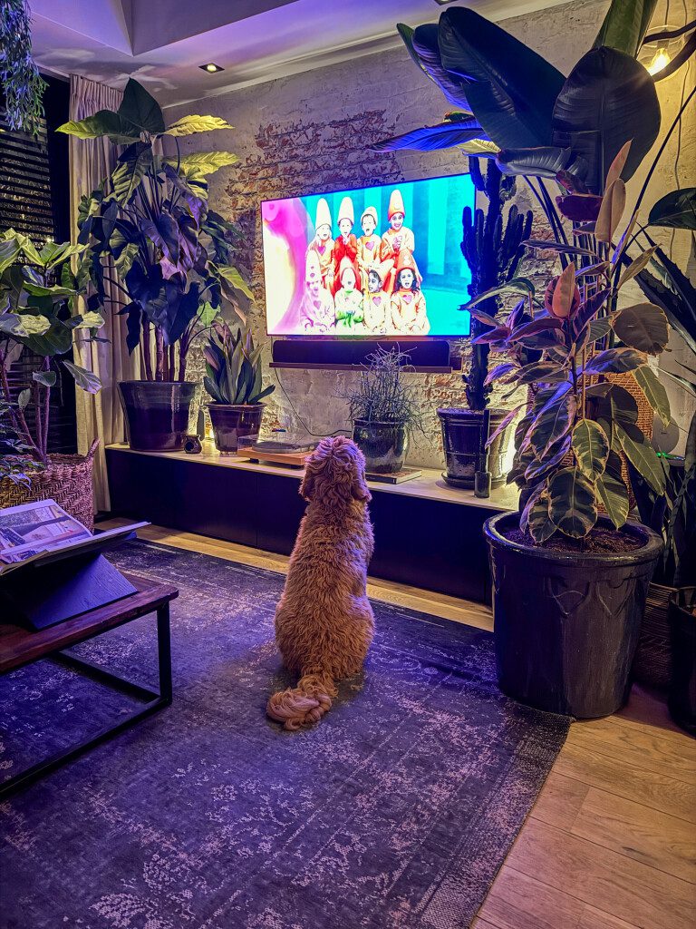 Thuis bij Familie over de Kook - week 7