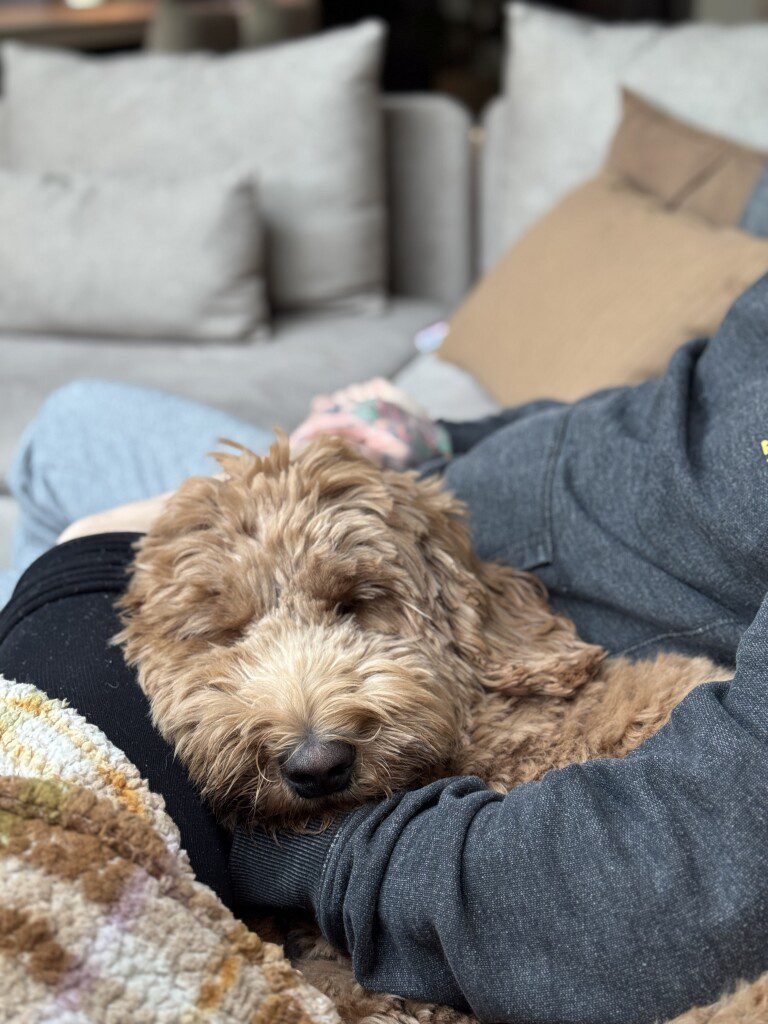 Thuis bij Familie over de Kook – week 8