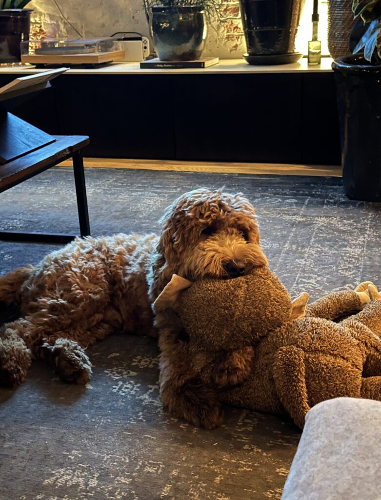 Thuis bij Familie over de Kook – week 9