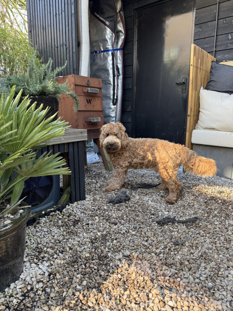 Thuis bij Familie over de Kook – week 10