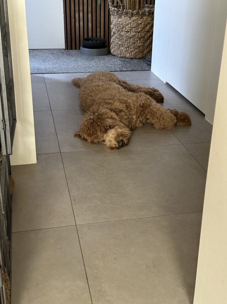 Thuis bij Familie over de Kook – week 10