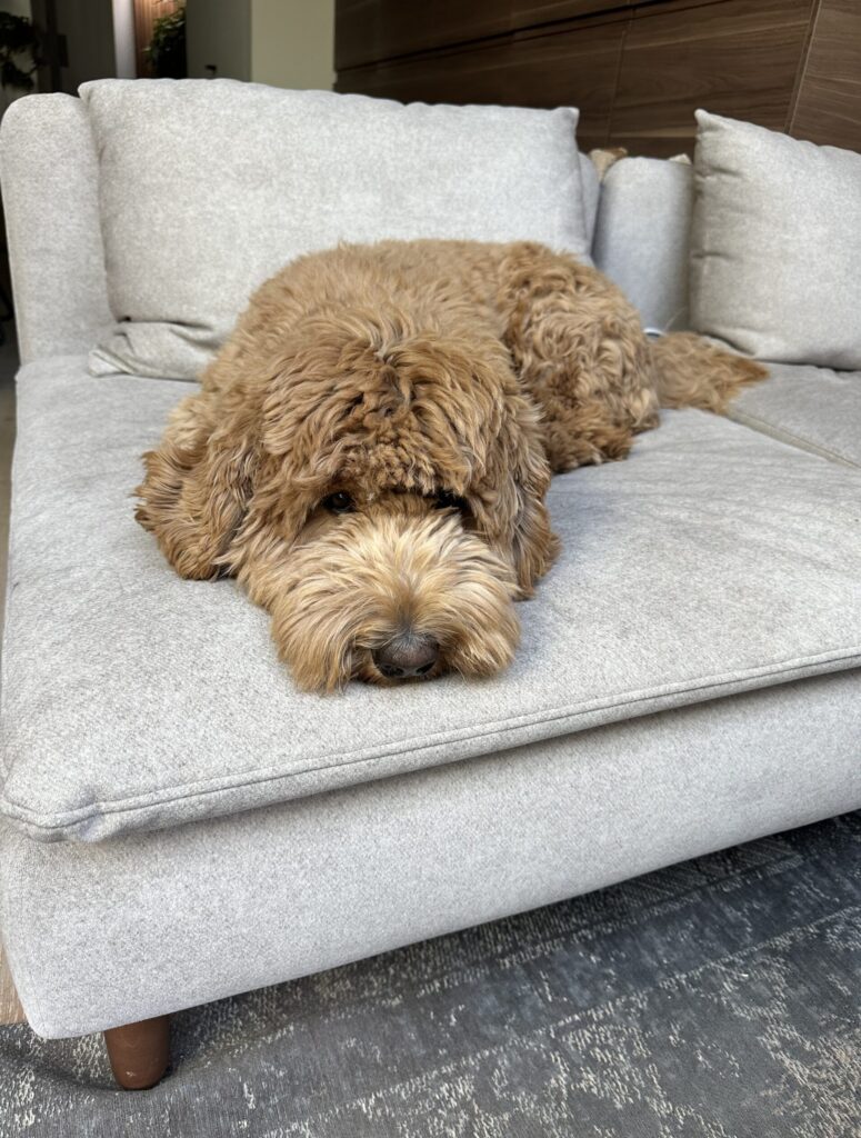 Thuis bij Familie over de Kook – week 10