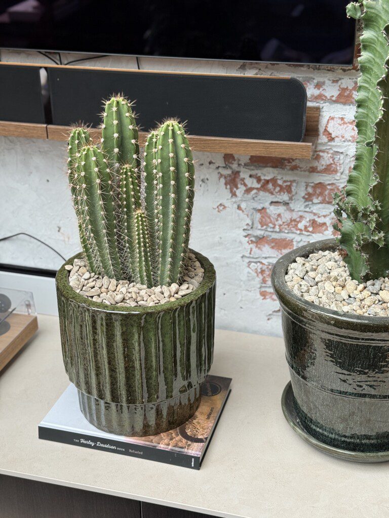 Thuis bij Familie over de Kook – week 13