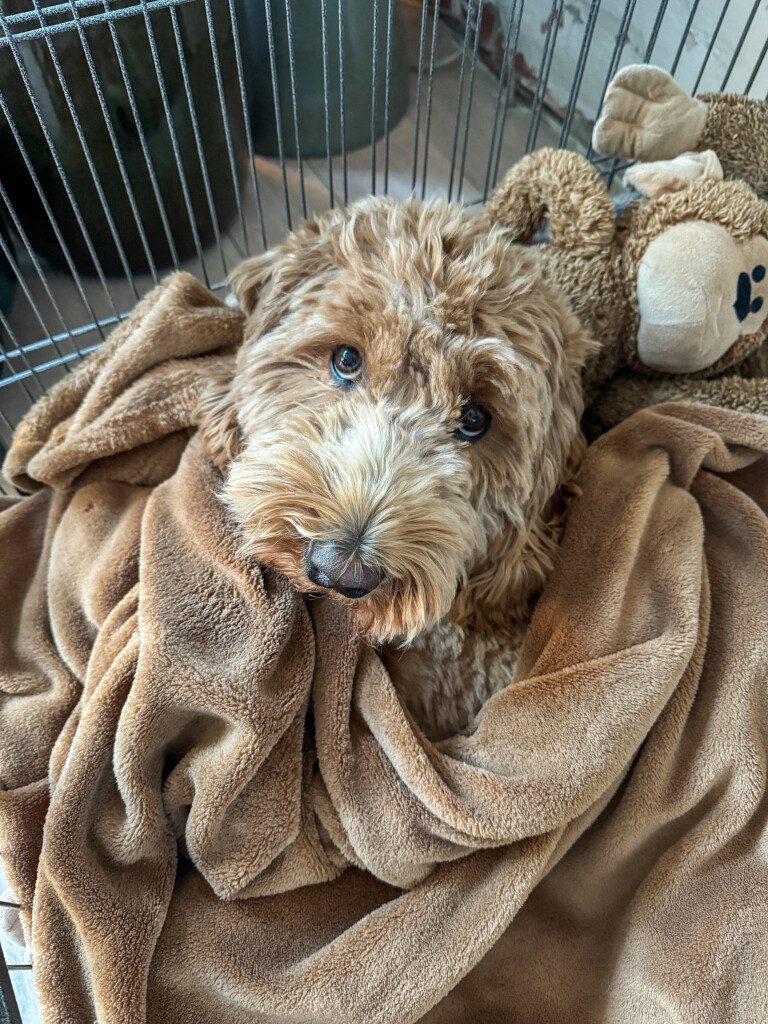 Thuis bij Familie over de Kook – week 13