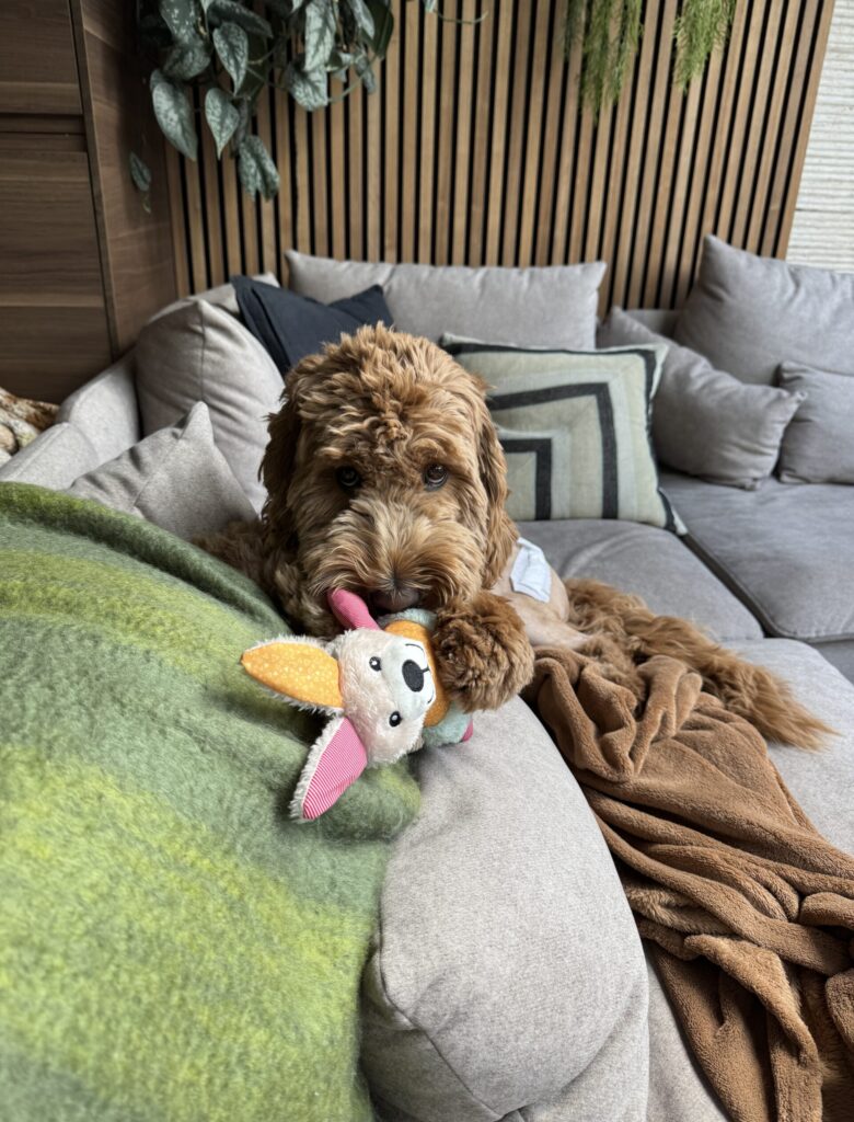 Thuis bij Familie over de Kook – week 13