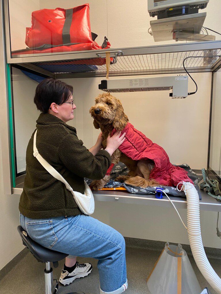 Thuis bij Familie over de Kook – week 13