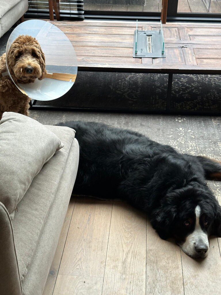 Thuis bij Familie over de Kook – week 17