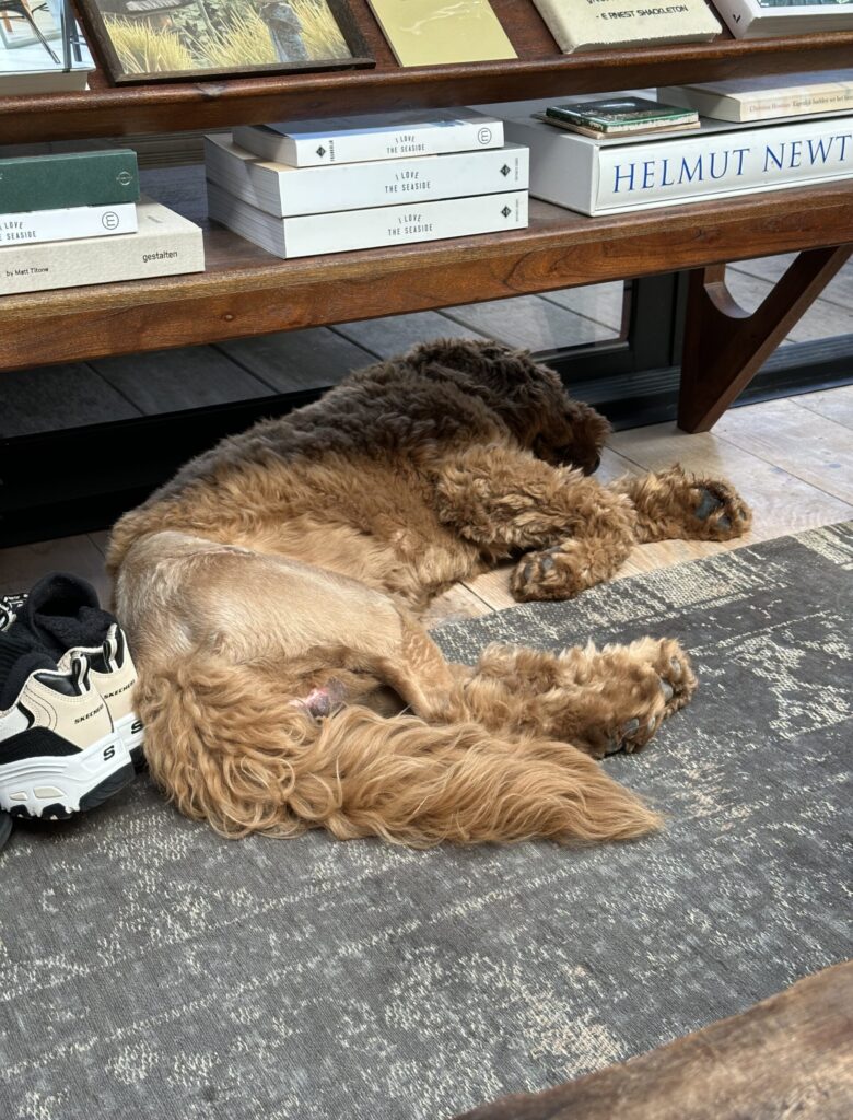 Thuis bij Familie over de Kook – week 16