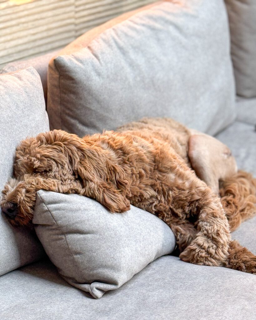 Thuis bij Familie over de Kook – week 15