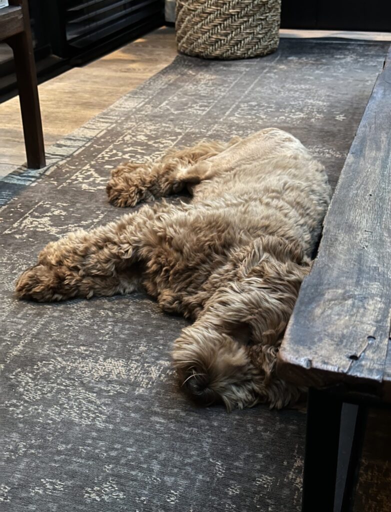 Thuis bij Familie over de Kook – week 16