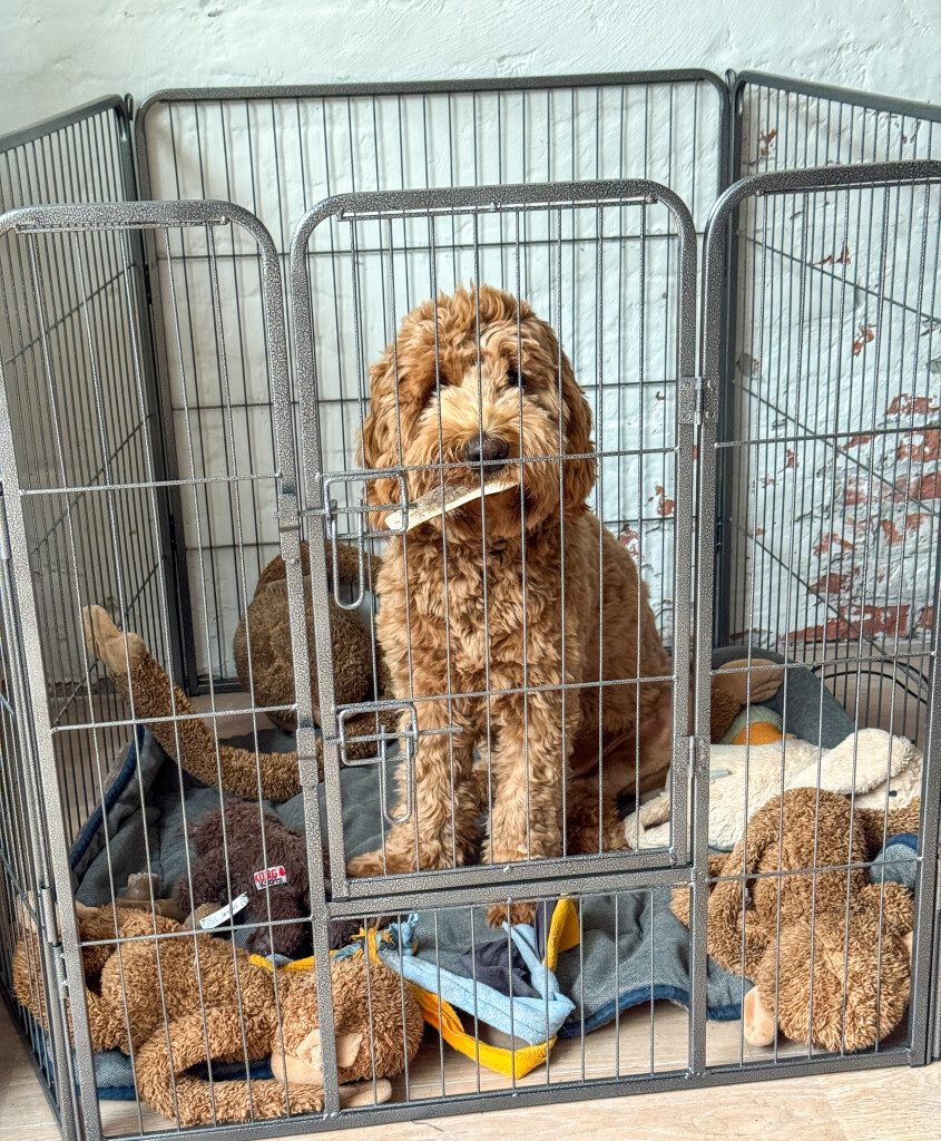 Thuis bij Familie over de Kook – week 16