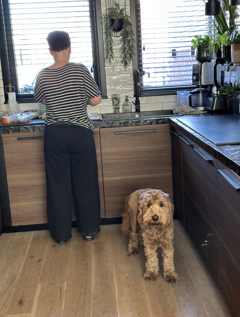 Thuis bij Familie over de Kook – Week 14