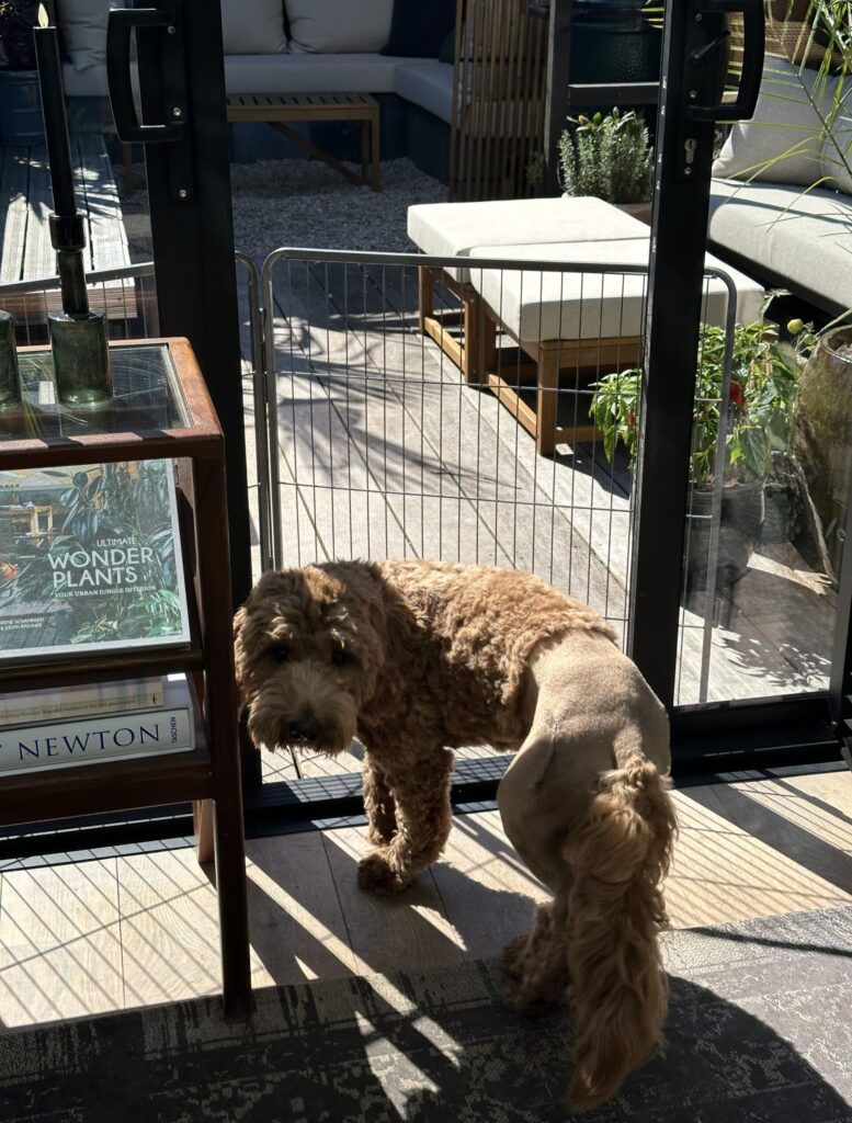 Thuis bij Familie over de Kook – Week 14