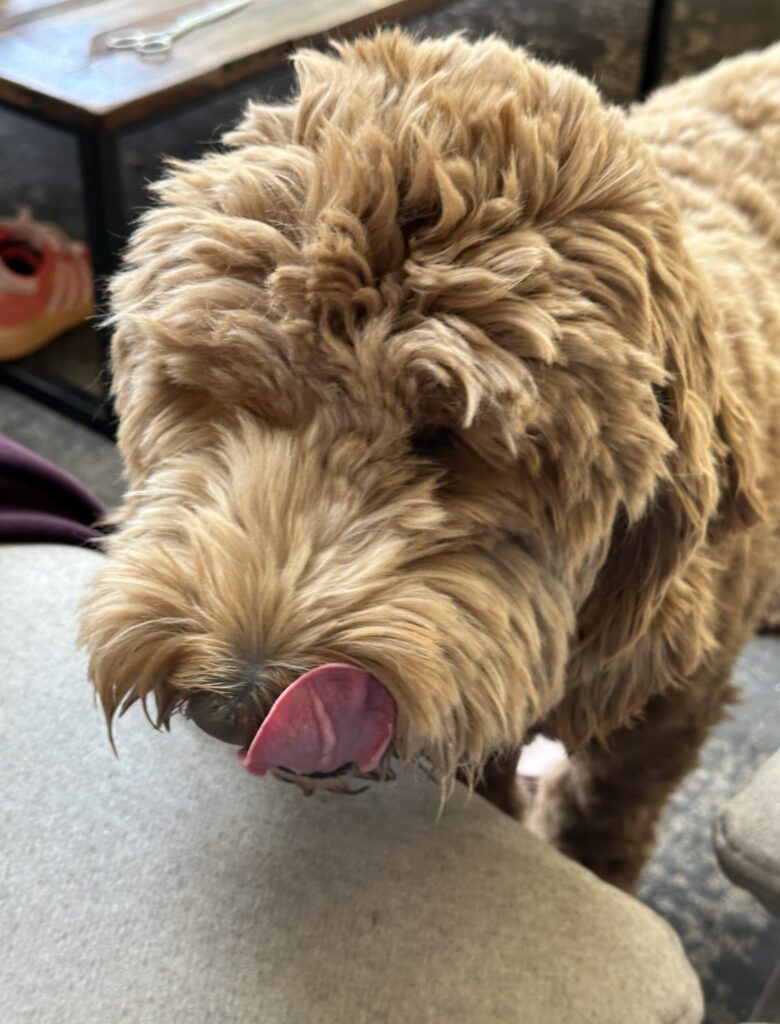 Thuis bij Familie over de Kook – Week 14