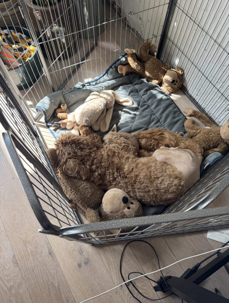 Thuis bij Familie over de Kook – Week 14