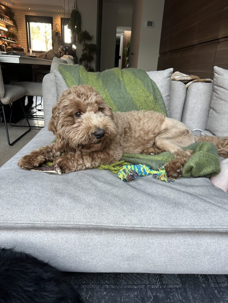 Thuis bij Familie over de Kook – week 16