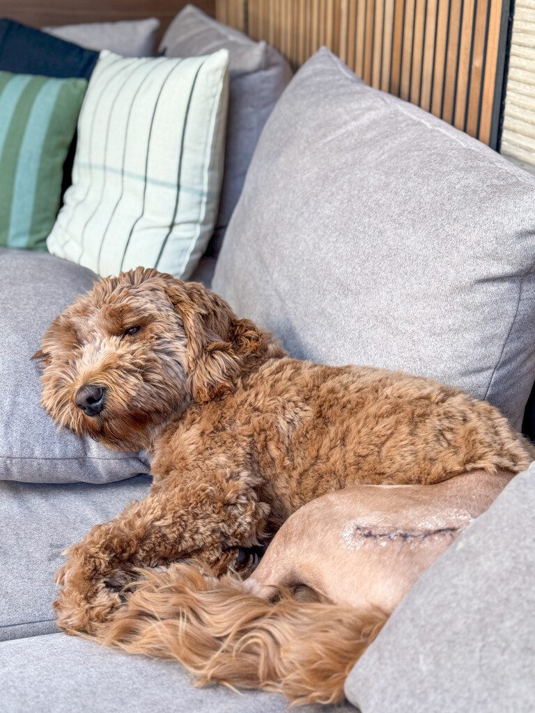 Thuis bij Familie over de Kook – Week 14