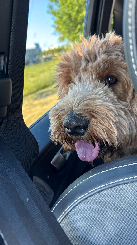 Thuis bij Familie over de Kook – week 20