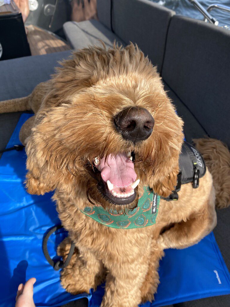 Thuis bij Familie over de Kook – week 18