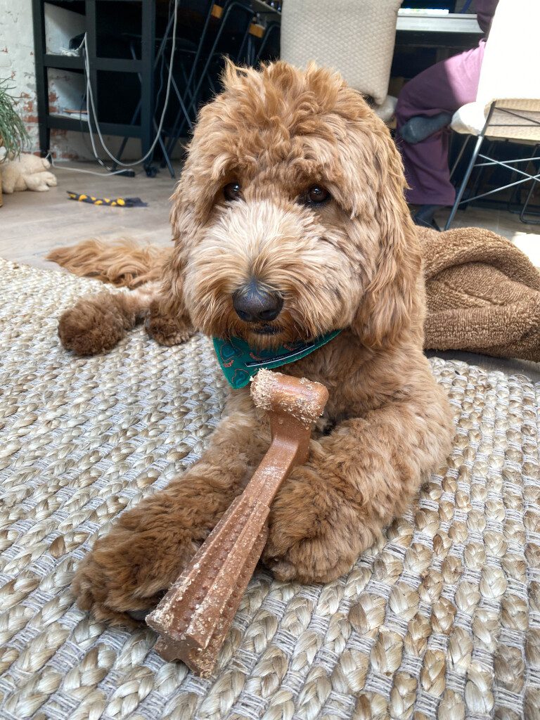 Thuis bij Familie over de Kook – week 19