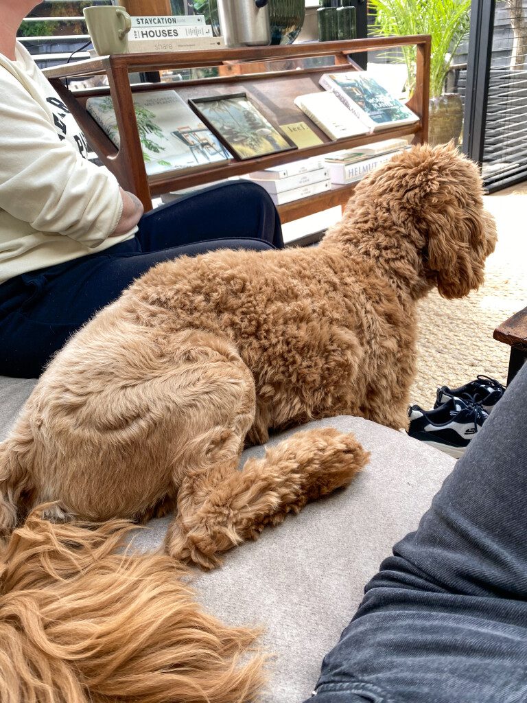 Thuis bij Familie over de Kook – week 19