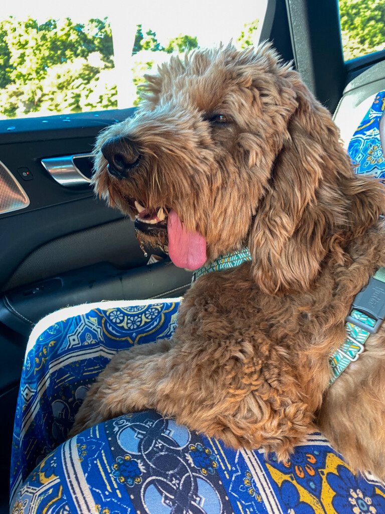 Thuis bij Familie over de Kook – week 20