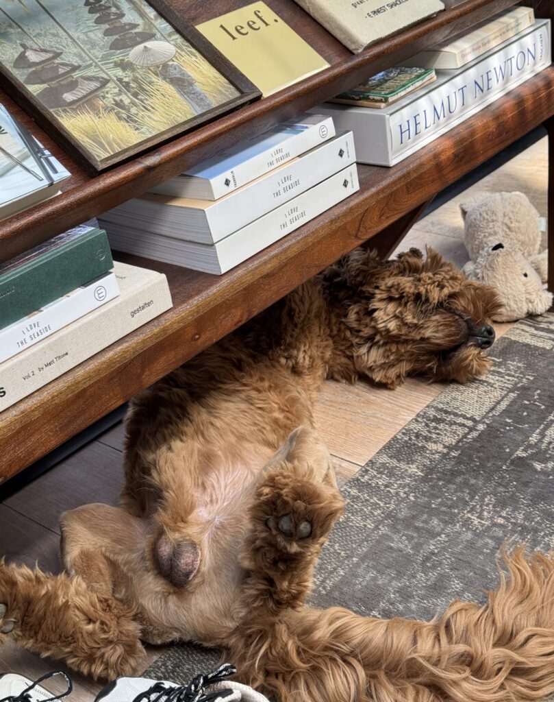 Thuis bij Familie over de Kook – week 18