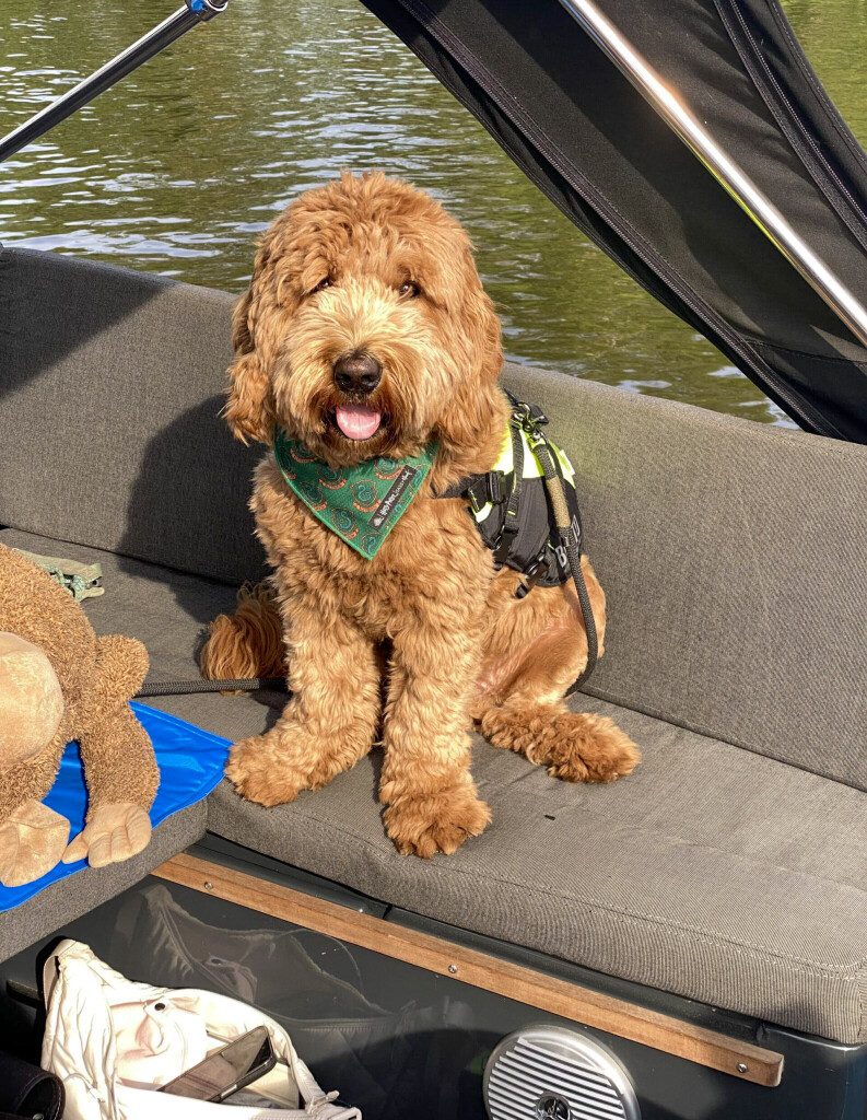 Thuis bij Familie over de Kook – week 19