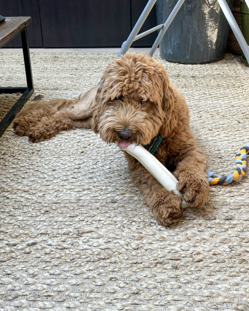 Thuis bij Familie over de Kook – week 19