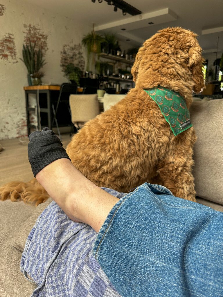 Thuis bij Familie over de Kook – week 19