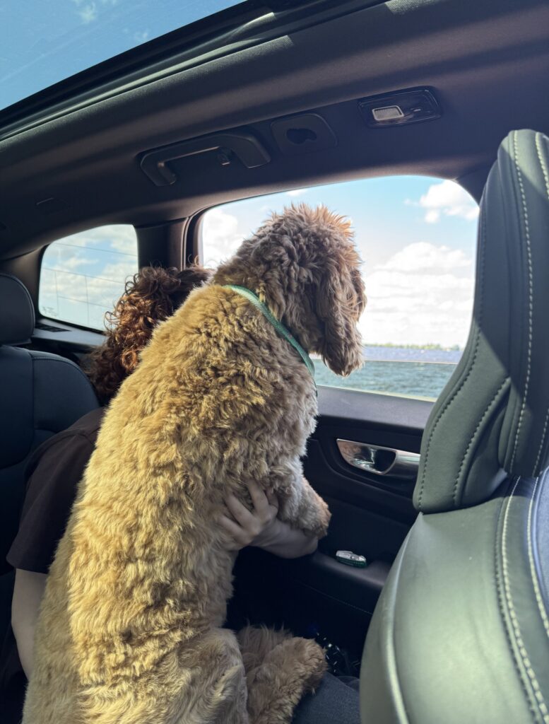 Thuis bij Familie over de Kook – week 19