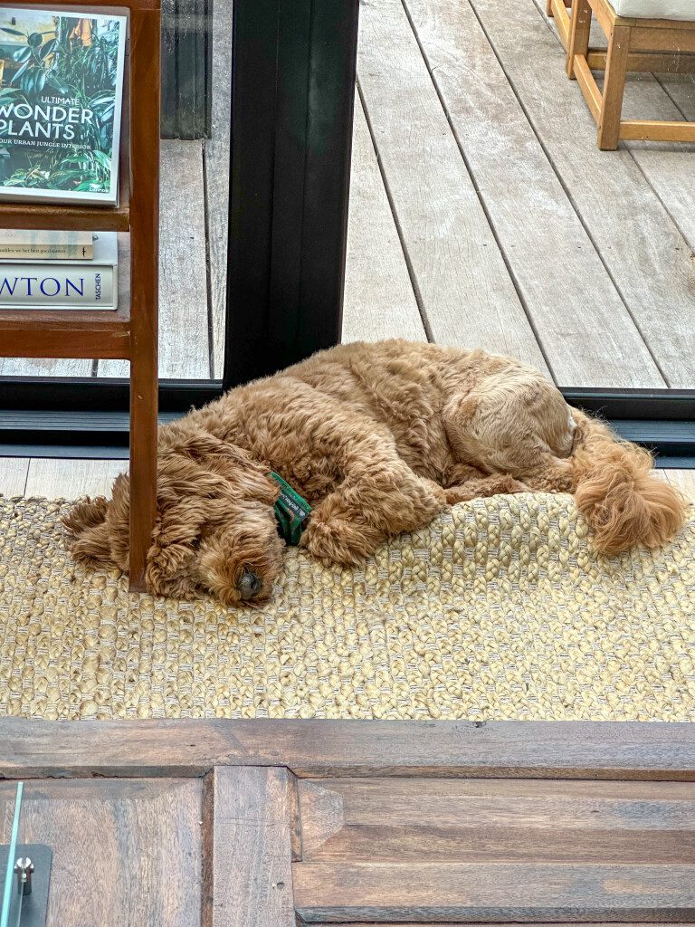 Thuis bij Familie over de Kook – week 19