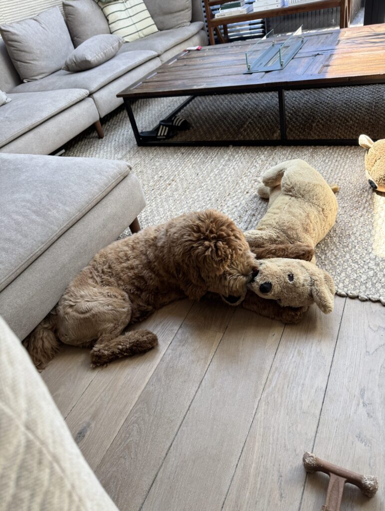 Thuis bij Familie over de Kook – week 19