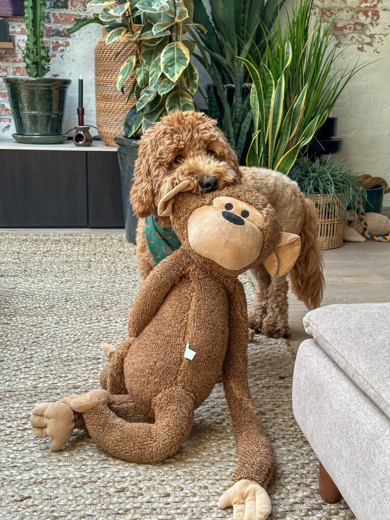 Thuis bij Familie over de Kook – week 19