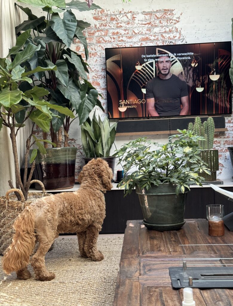 Thuis bij Familie over de Kook – week 19