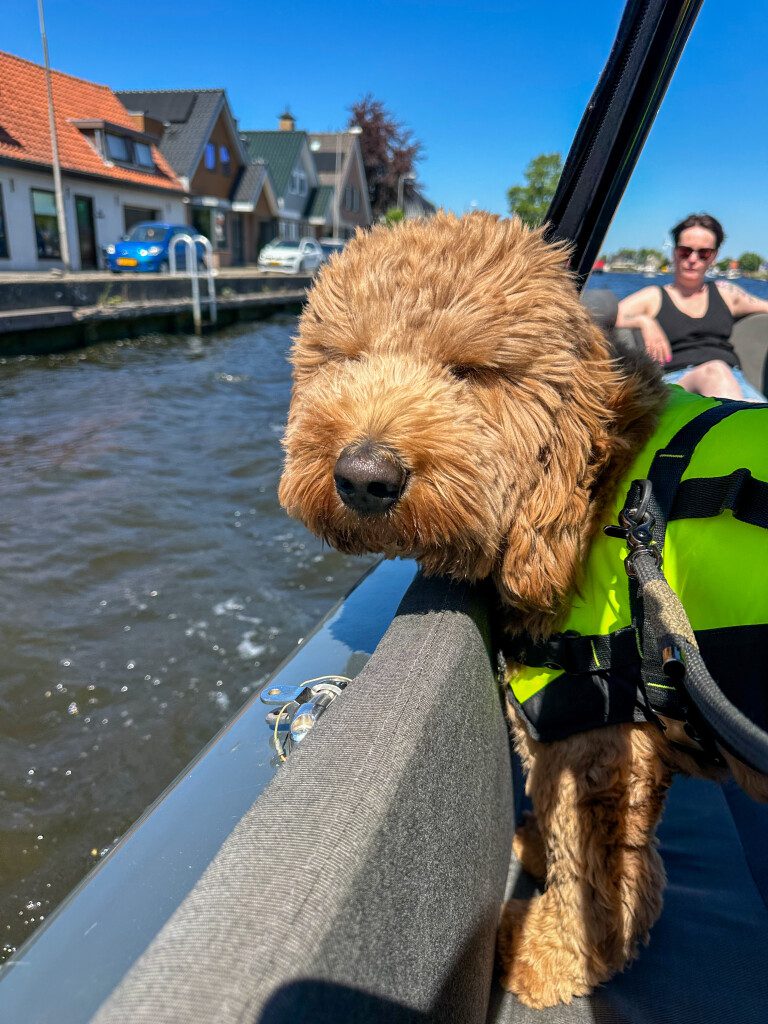 Thuis bij Familie over de Kook – week 19