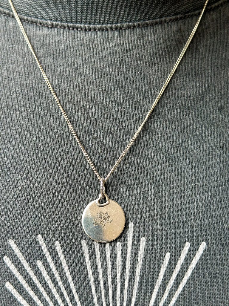 Thuis bij Familie over de Kook – week 20